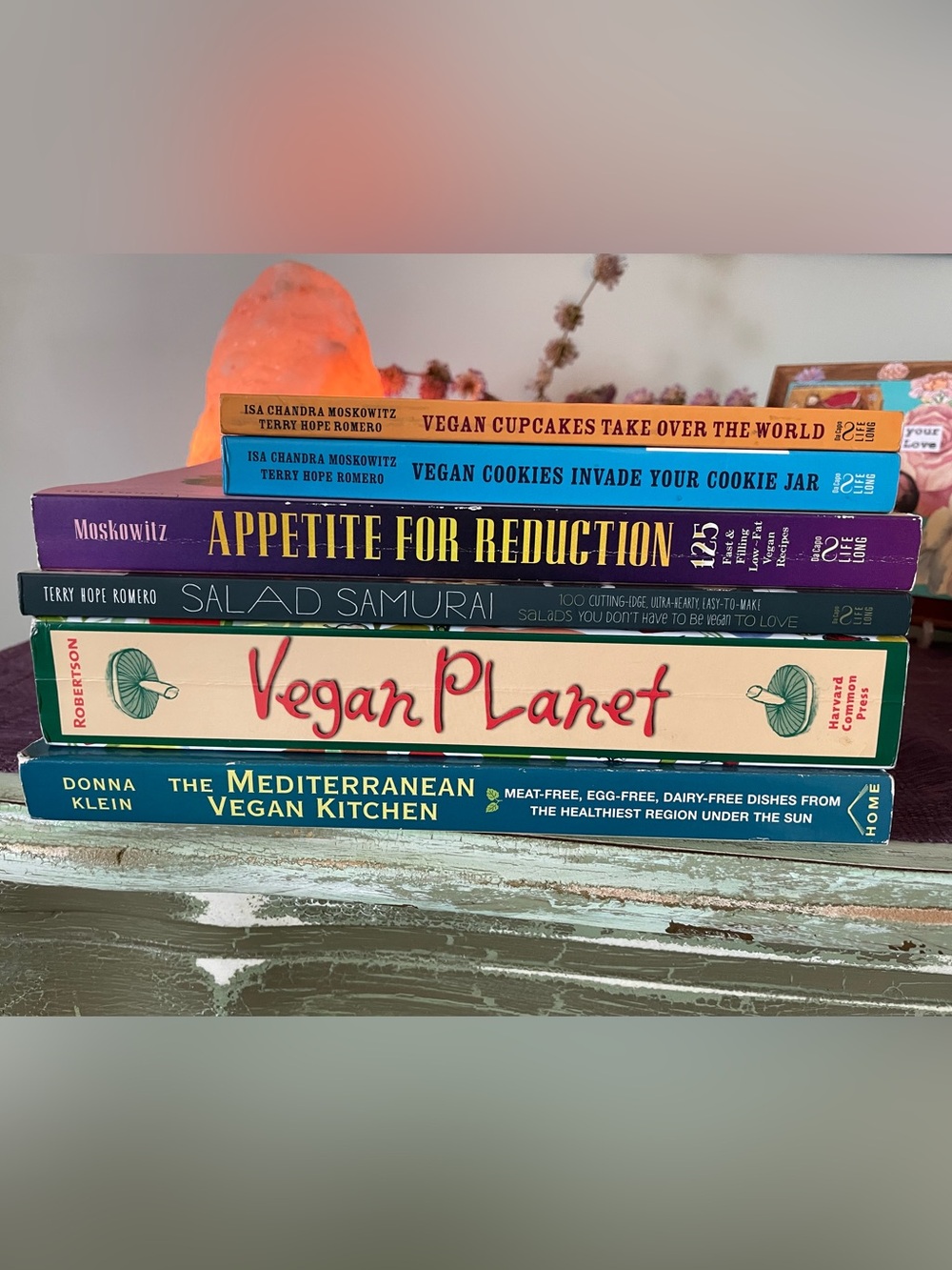 Vegan Planet Cookbook Stack - Multicolor Covers
